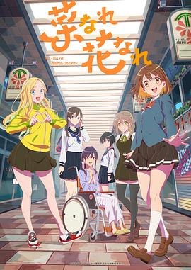 江苏seo快排怎么选